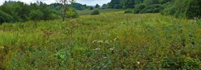 Ehrenamtliche Naturwarte